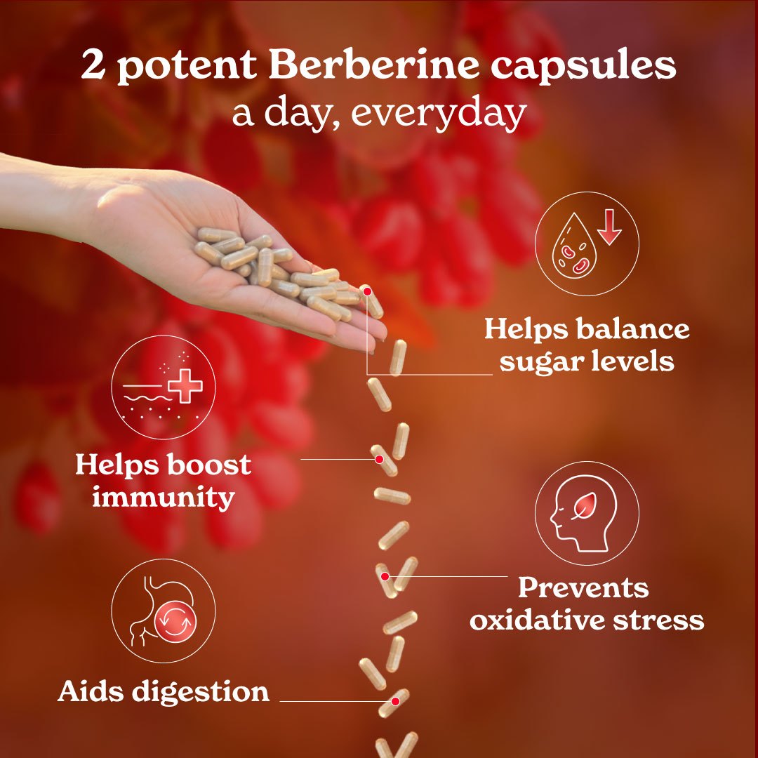 Berberine-march-2024-08-02.jpg
