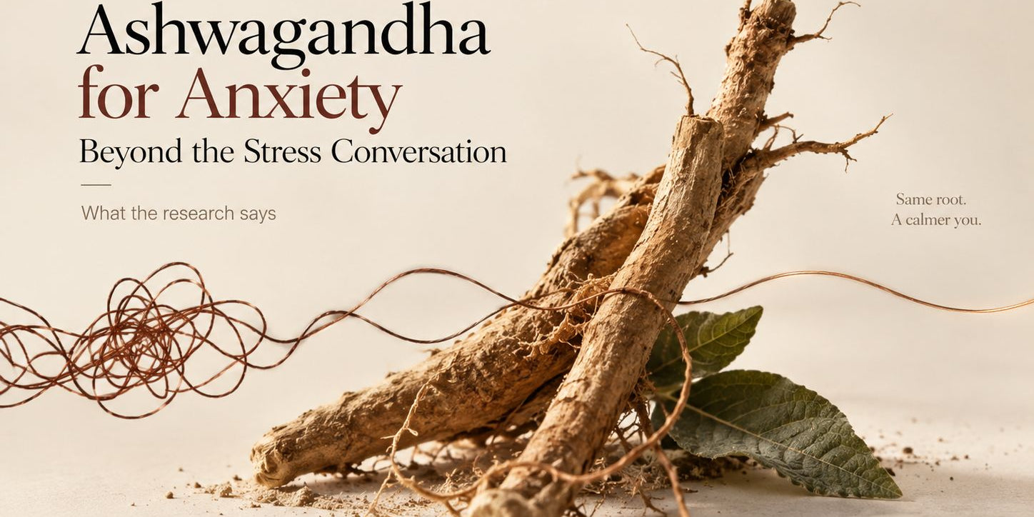 Ashwagandha for anxiety: what the research says beyond the stress conversation