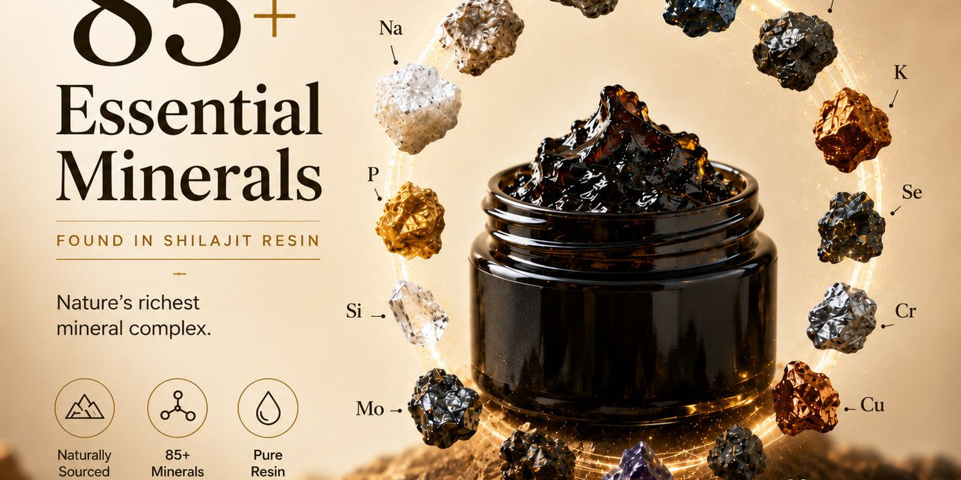 Shilajit and the 85+ trace minerals: what they actually do to your body