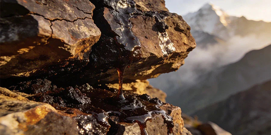 Himalayan Shilajit: Why Sourcing Is Everything