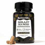 GOLD+ Shilajit Supplement