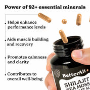 GOLD+ Shilajit Supplement