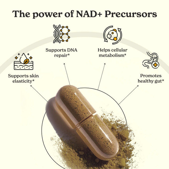 NADPARB30-UK NADPARB30X2-UK - NAD+ Capsules