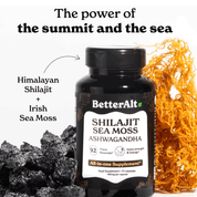 GOLD+ Shilajit Supplement