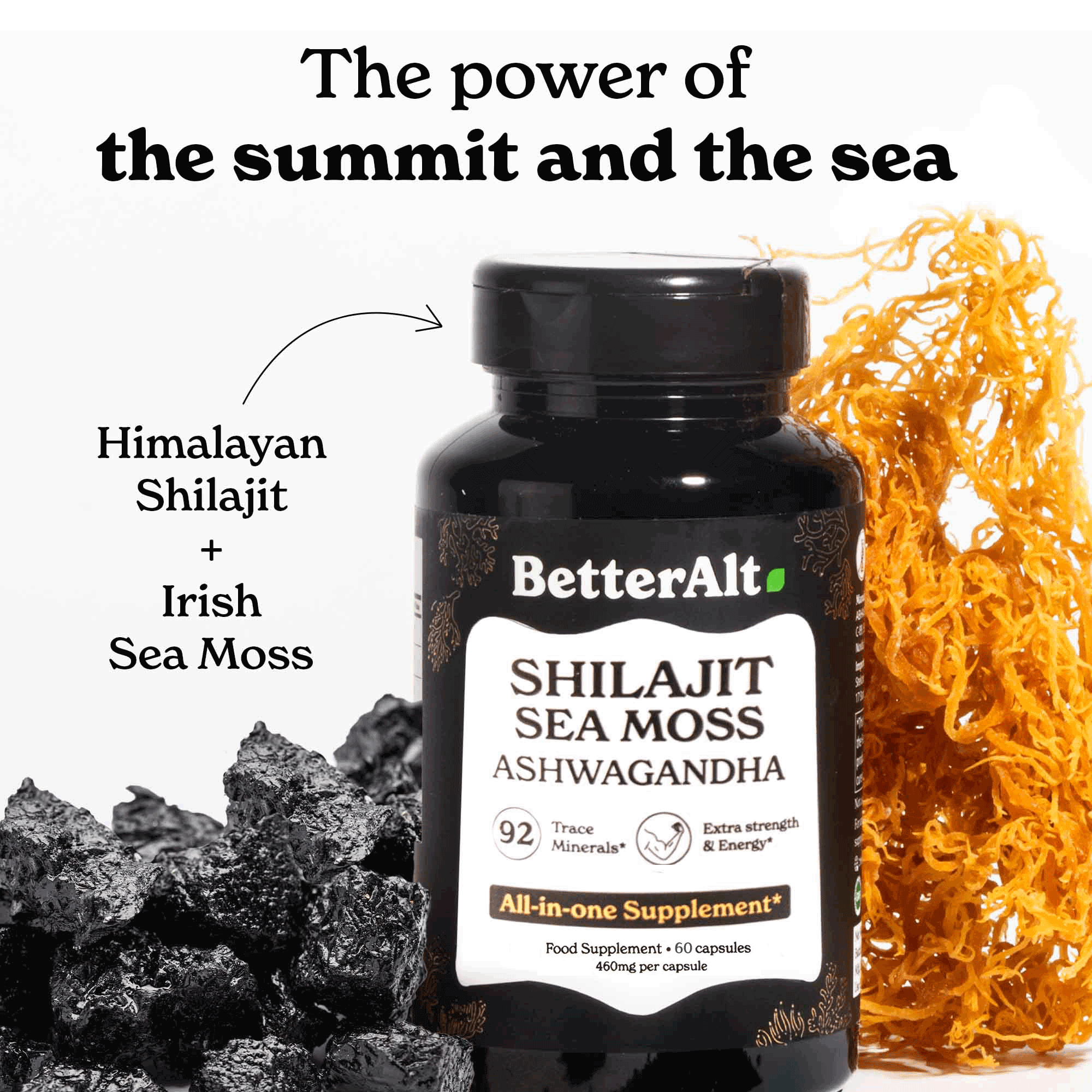 GOLD+ Shilajit Supplement