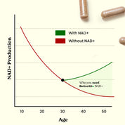 NAD+ Capsules