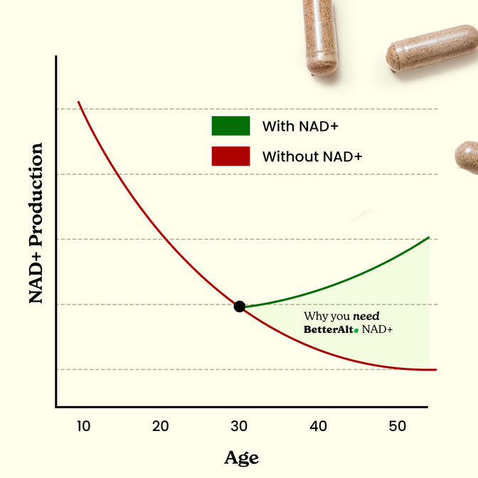 NADPARB30-UK NADPARB30X2-UK - NAD+ Capsules