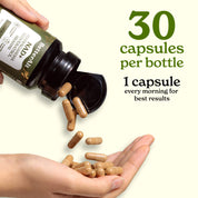 NAD+ Capsules