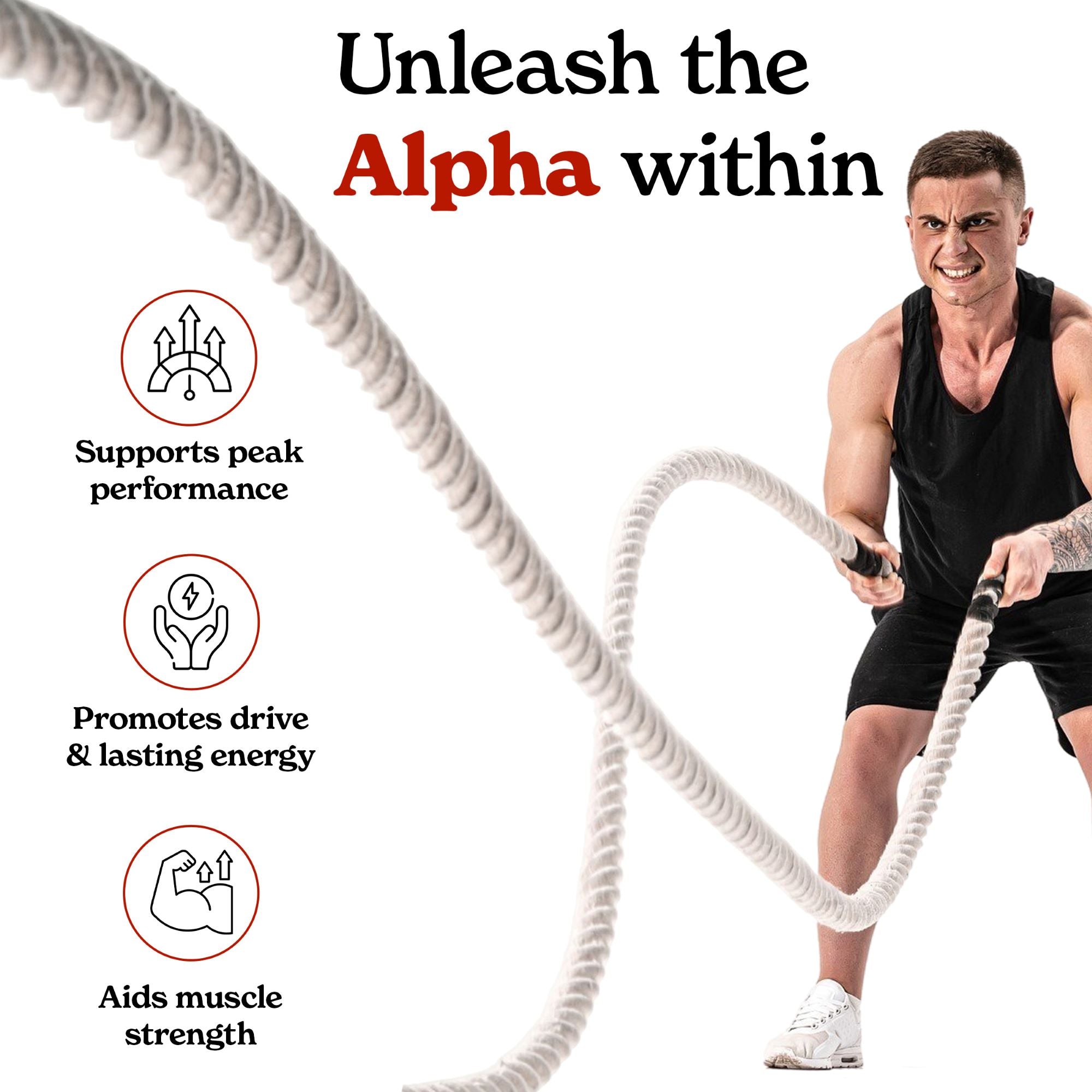 TPMTBSAG90CX2-UK TPMTBSAG90C-UK