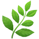  Boosts overall wellness