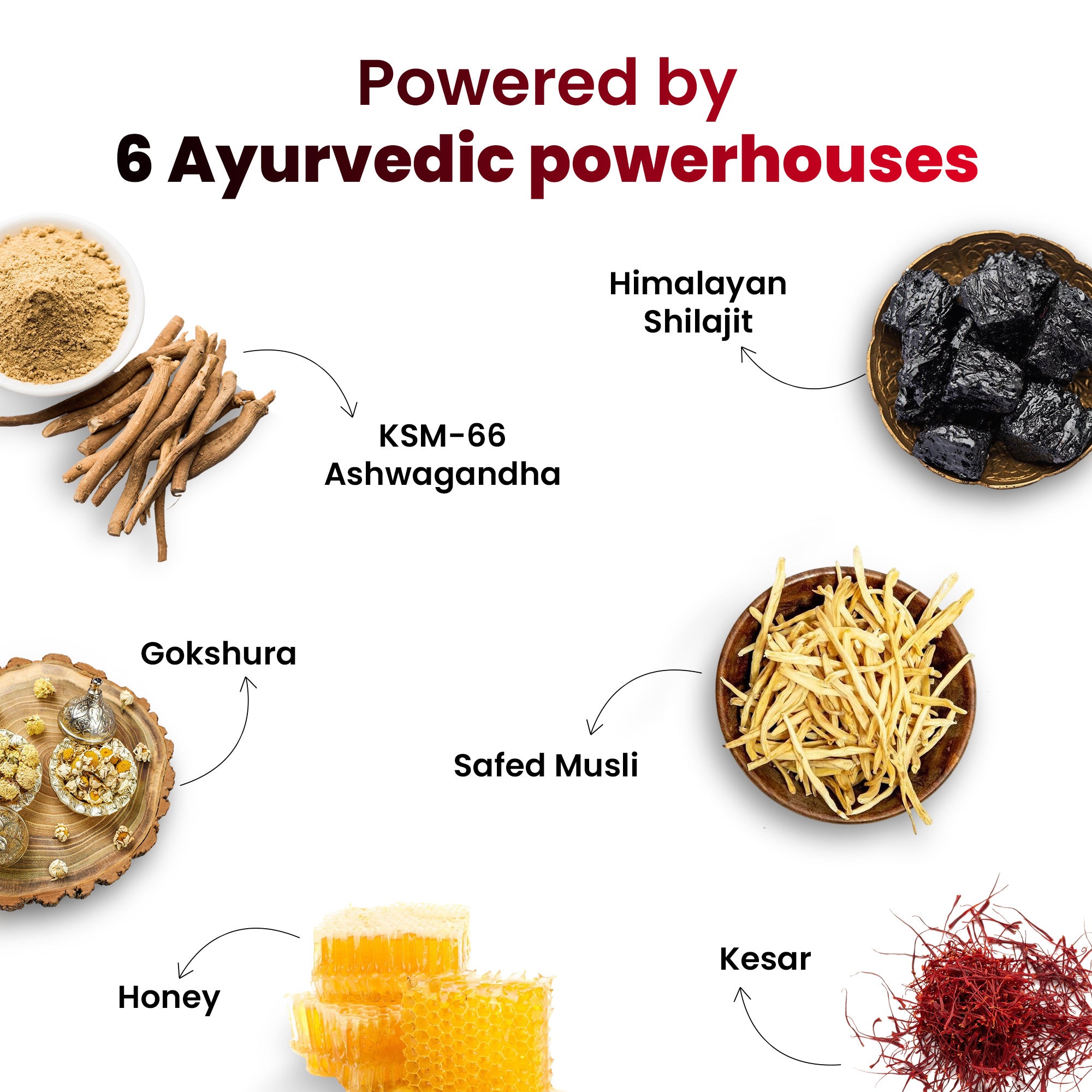 SPES5G30-UK SPES5G30X2-UK