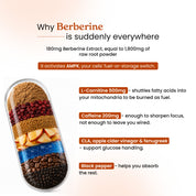 Berberine Fat Burner Capsule