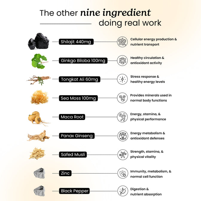 SJSM60-UK
SJSM60X2-UK - All-in-One Shilajit Supplement
