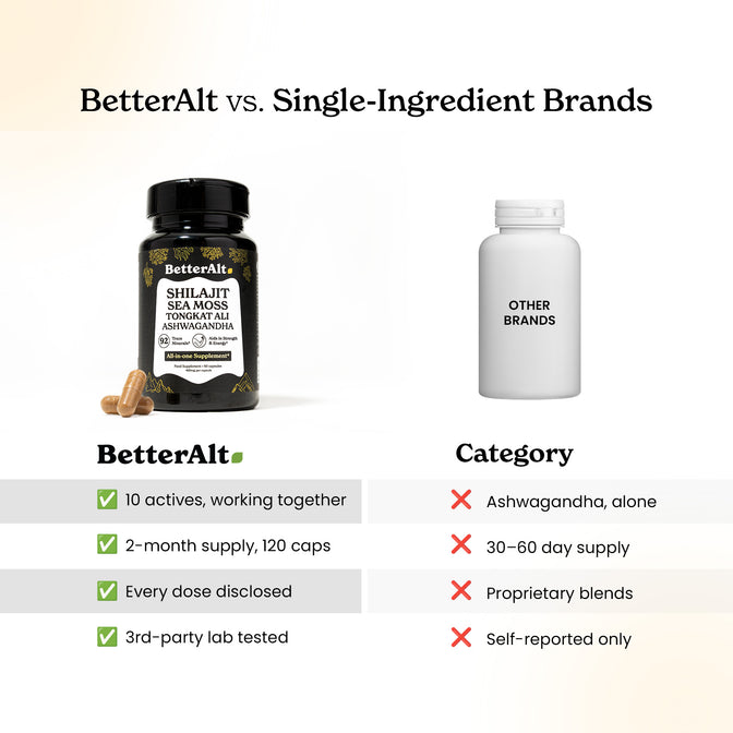 SJSM60-UK
SJSM60X2-UK - All-in-One Shilajit Supplement