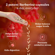 Berberine HCL 97% Capsules