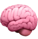 Promotes Cognitive Clarity 