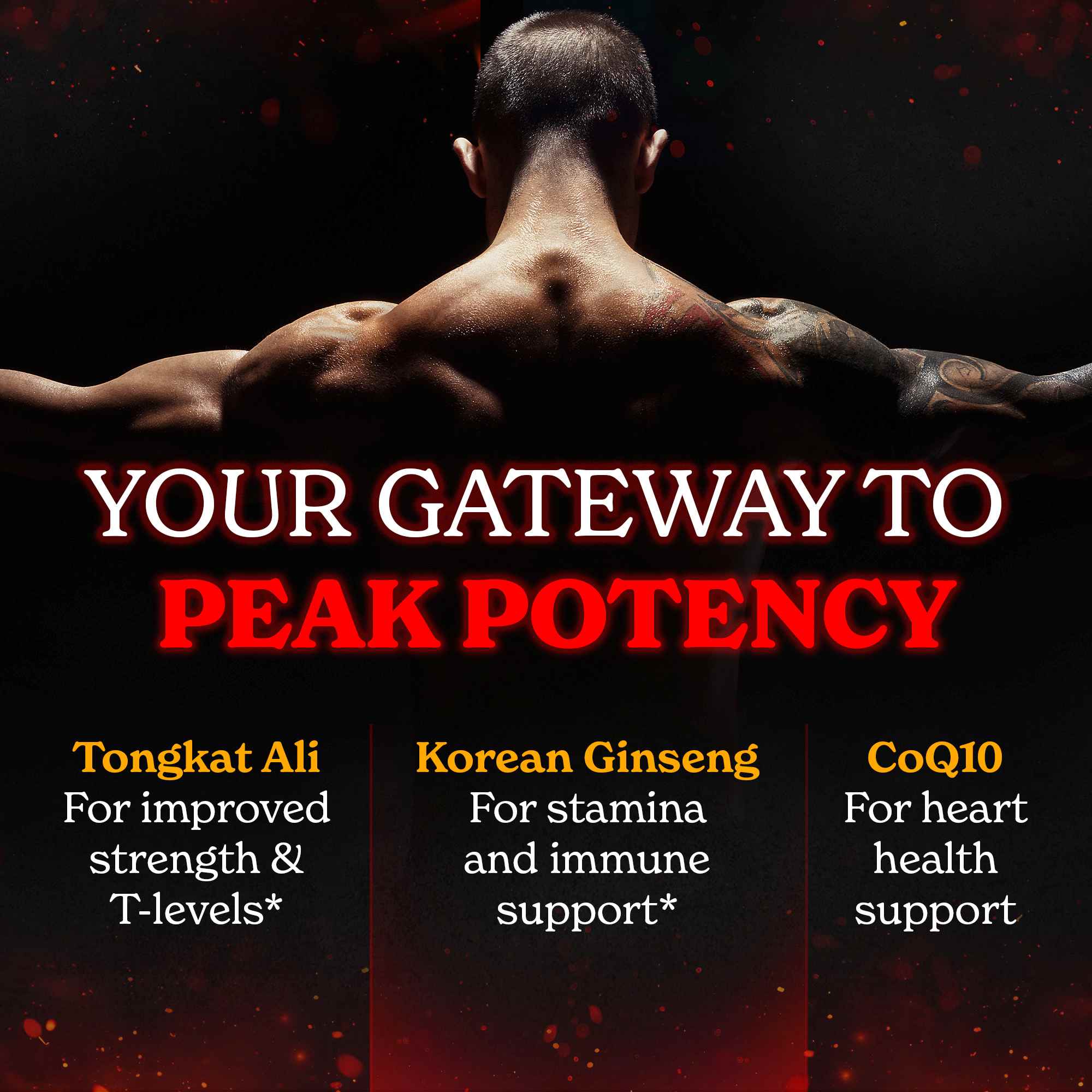 Male Vitality Capsules