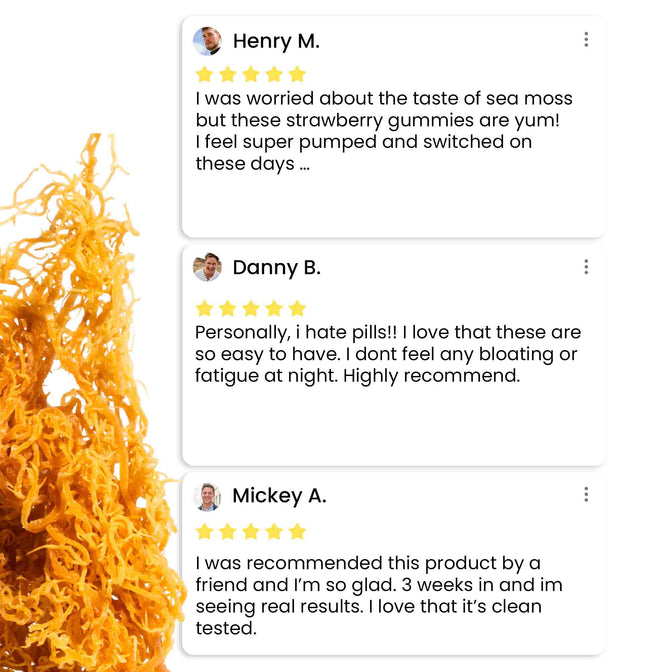 ISMGSF30-UK
ISMGSF30X2-UK - Irish Sea Moss gummies