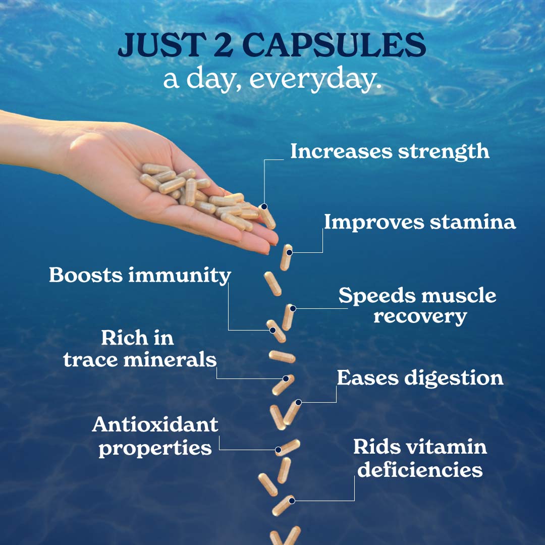 Sea Moss Capsules